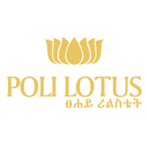 Tsehay Real Estate | By John Homes